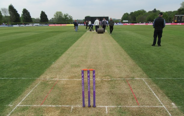 IMG_1253 RLODC 50-Over Middx v Som 010519 Radlett pitch Interval